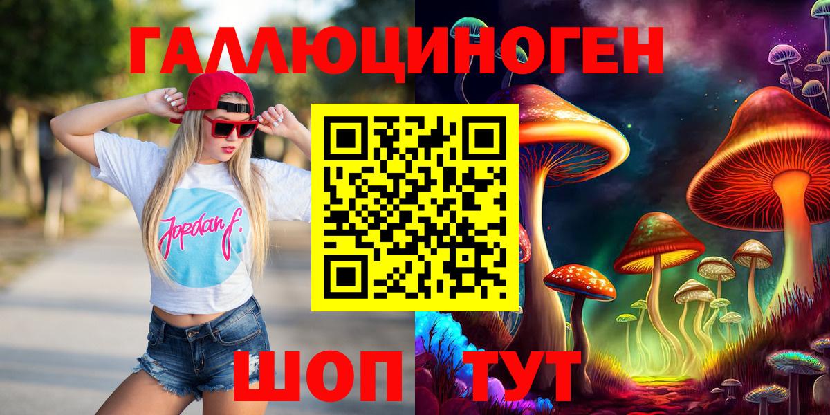 Нарткала  Псилоцибиновые грибы Psilocybe  Вход с VPN 