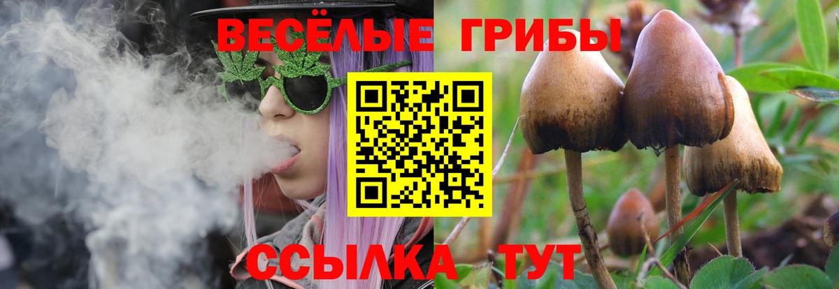 Кокаин  Нарткала  Вход с VPN  Меф   ГАШИШ  Бошки Шишки  Меф  АМФЕТАМИН   MDMA 